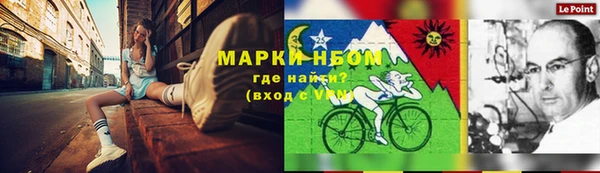 дмт Белокуриха
