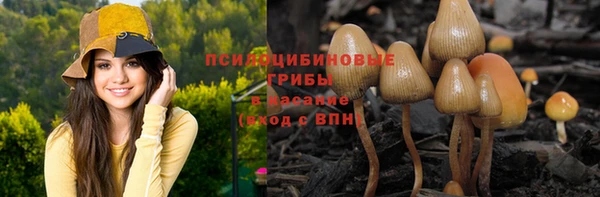 дмт Белокуриха
