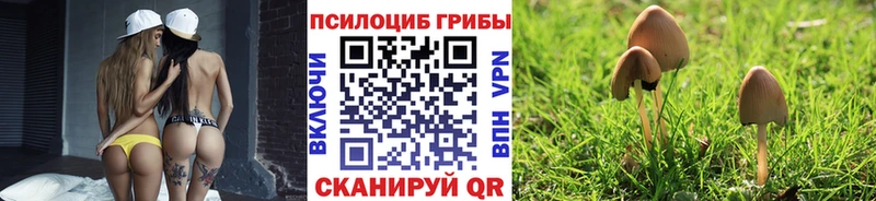 Галлюциногенные грибы Magic Shrooms  сколько стоит  Назарово 